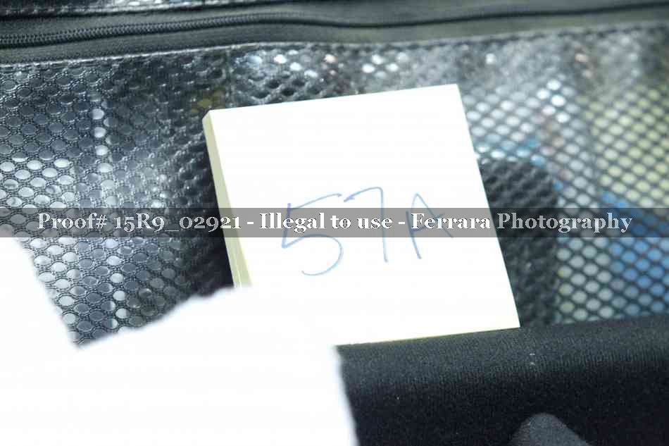 Proof Number 15R9_02921