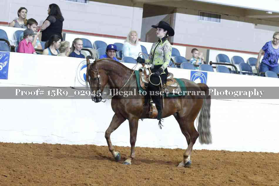 Proof Number 15R9_02945
