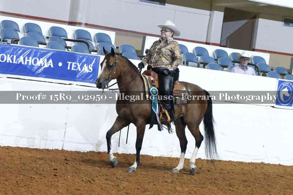 Proof Number 15R9_02950