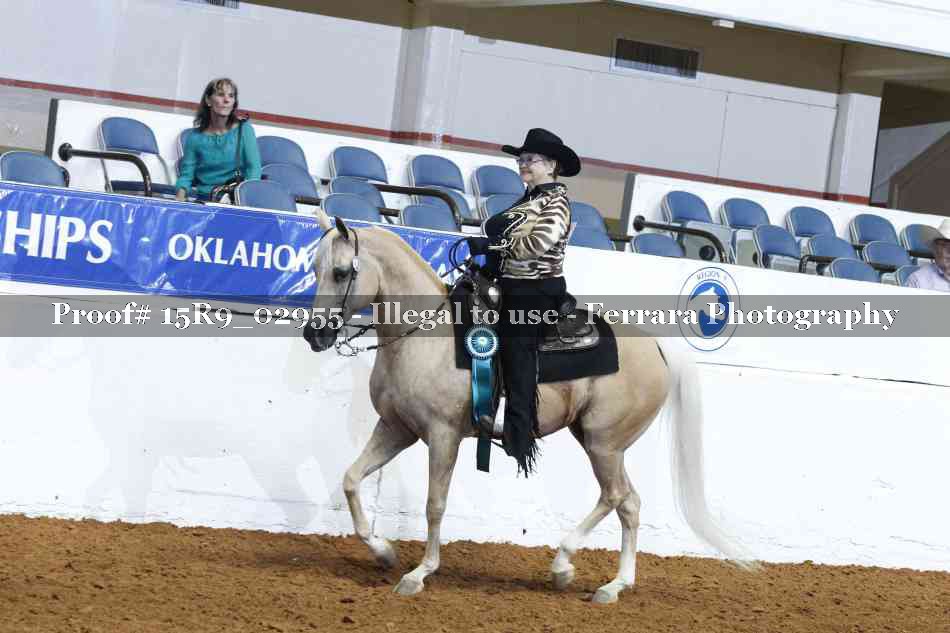 Proof Number 15R9_02955