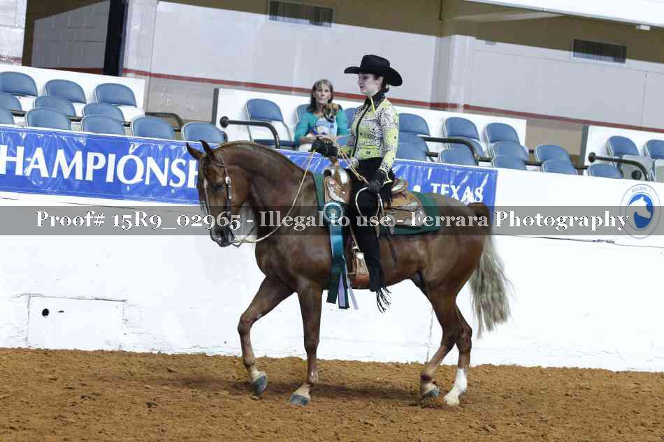 Proof Number 15R9_02965