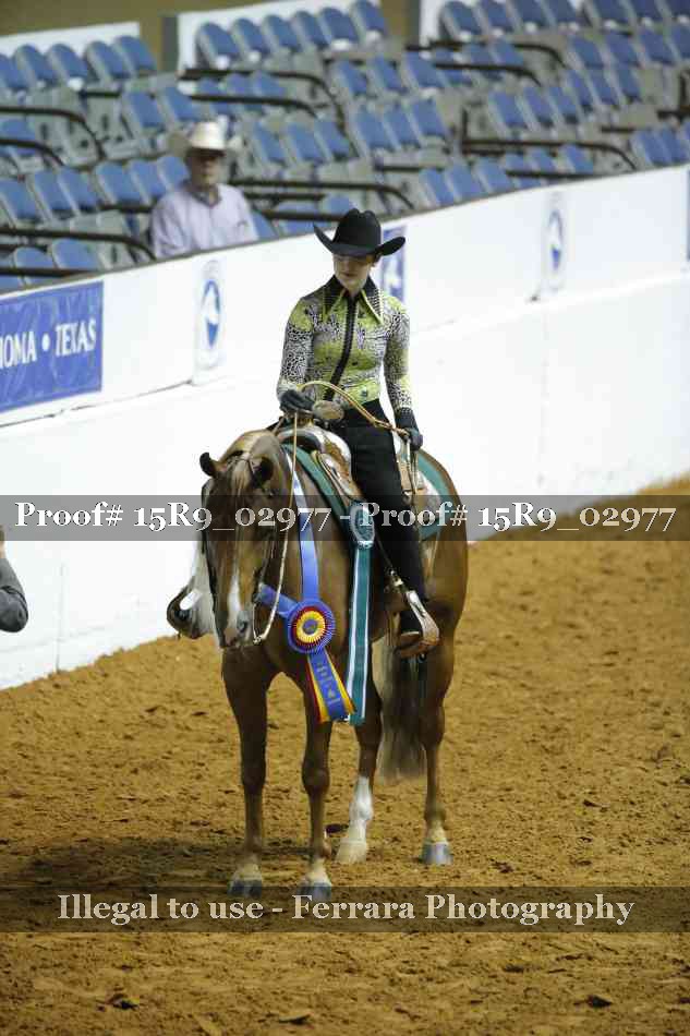 Proof Number 15R9_02977