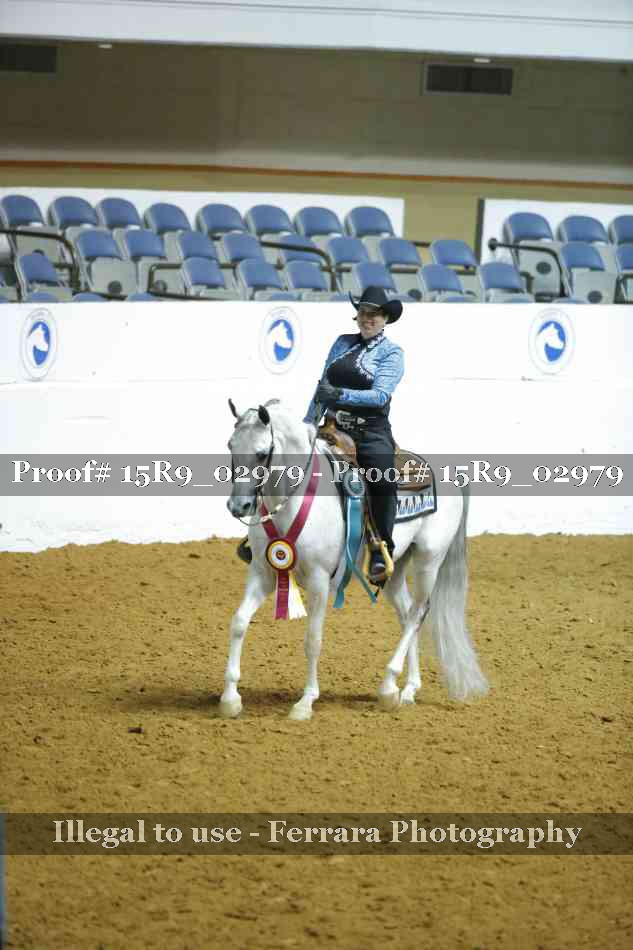Proof Number 15R9_02979
