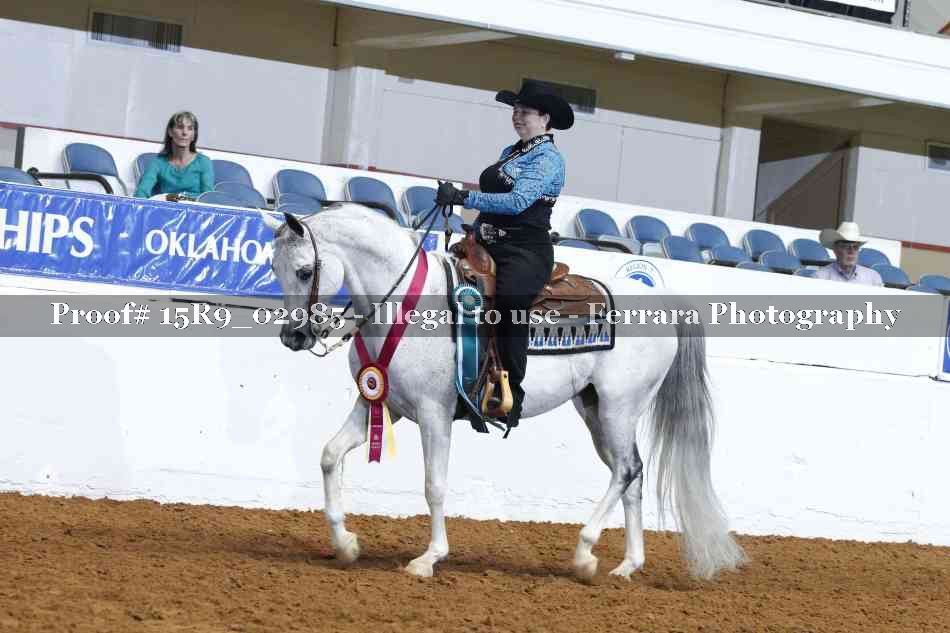 Proof Number 15R9_02985