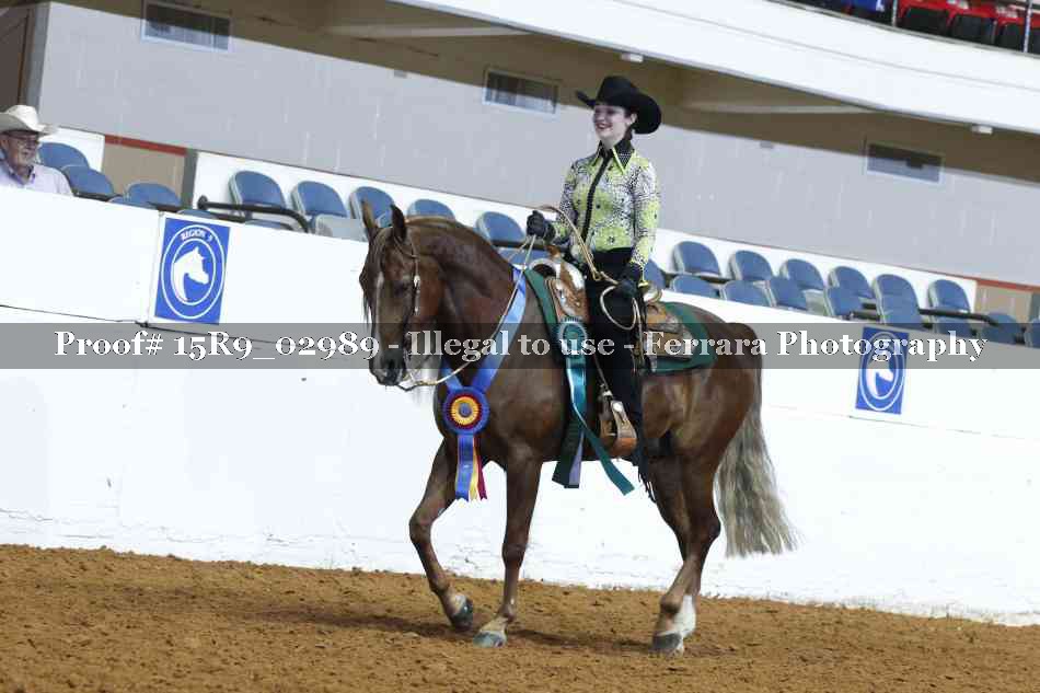 Proof Number 15R9_02989