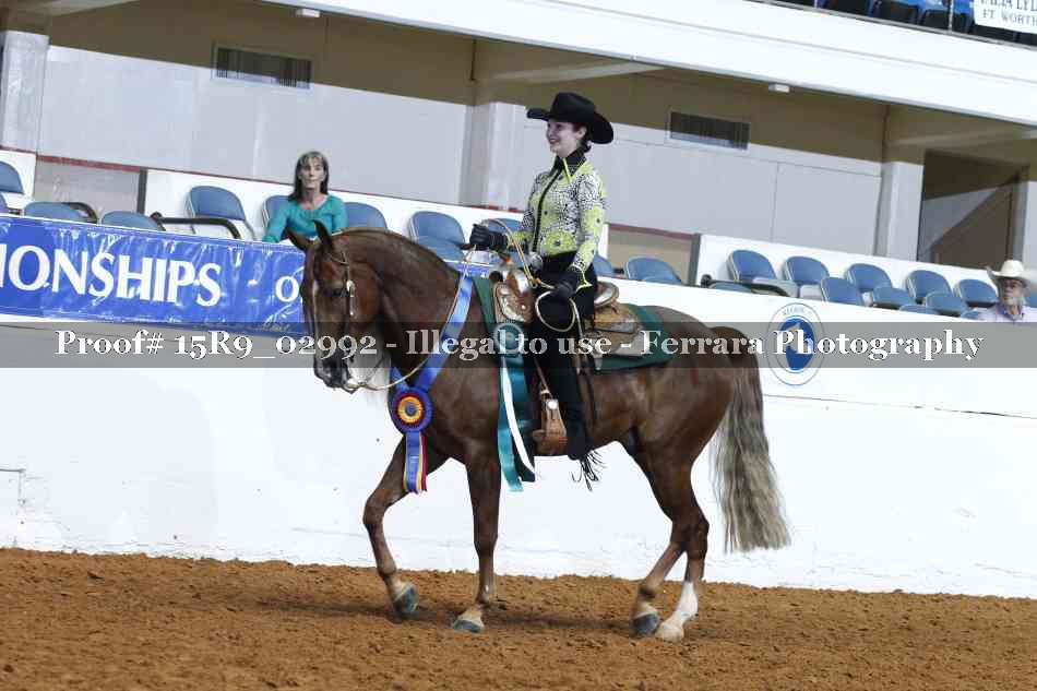 Proof Number 15R9_02992