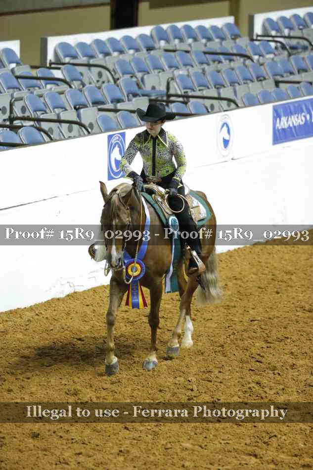 Proof Number 15R9_02993
