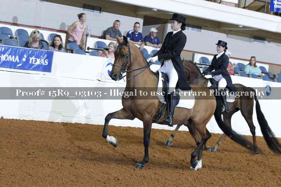 Proof Number 15R9_03103