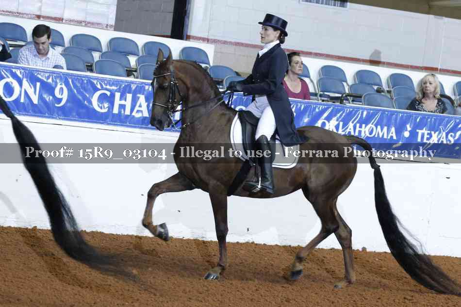 Proof Number 15R9_03104