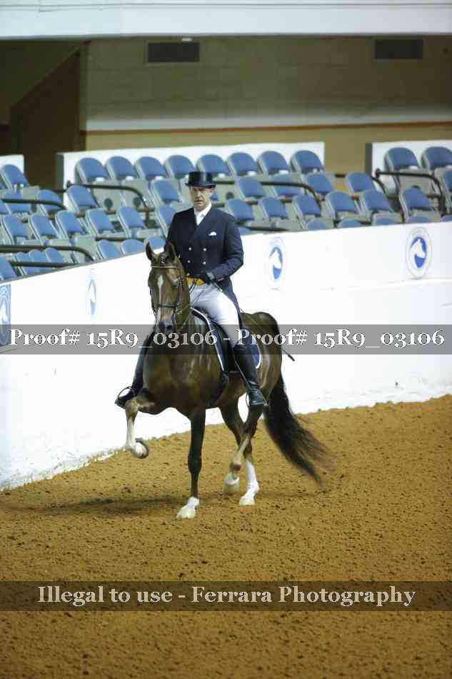 Proof Number 15R9_03106