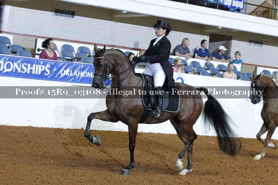 Proof Number 15R9_03108