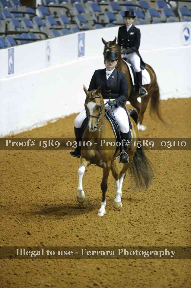 Proof Number 15R9_03110