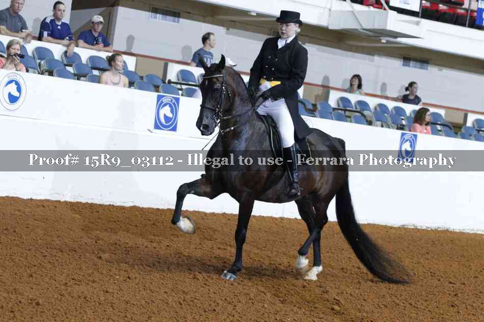 Proof Number 15R9_03112