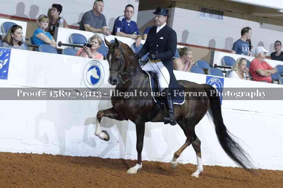 Proof Number 15R9_03113