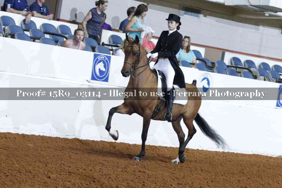 Proof Number 15R9_03114