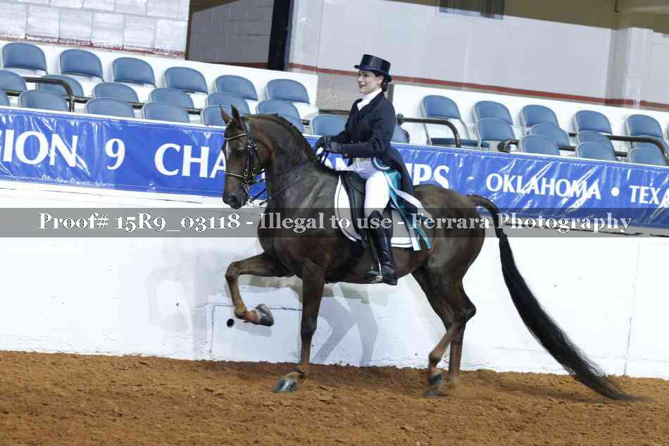 Proof Number 15R9_03118