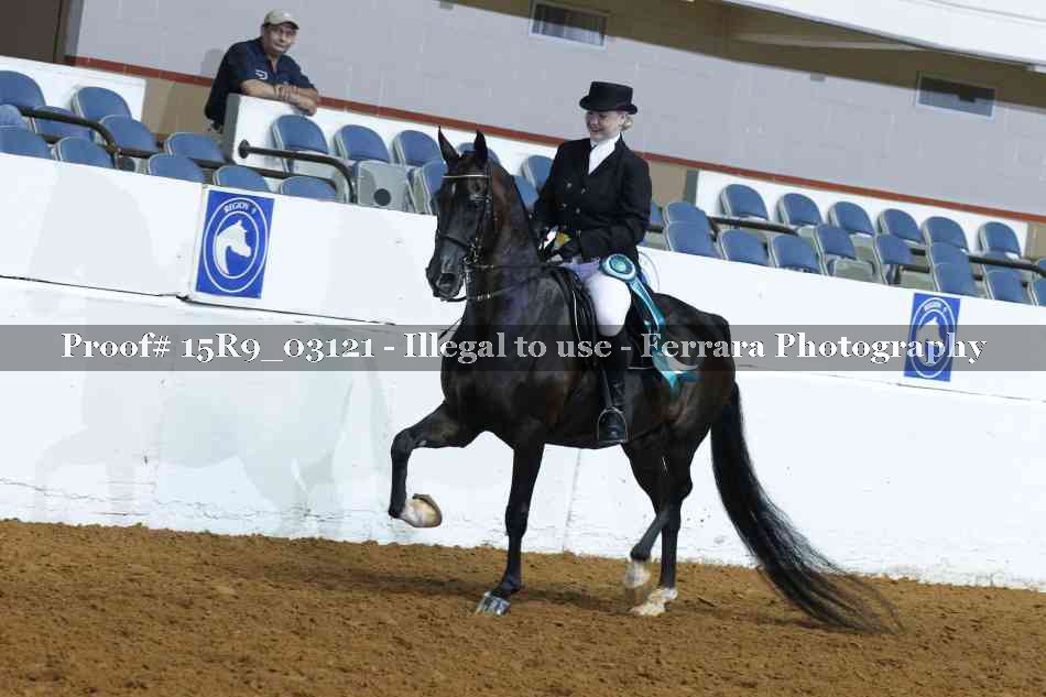 Proof Number 15R9_03121