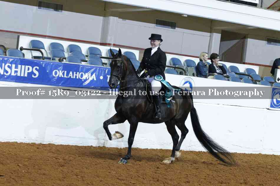 Proof Number 15R9_03122
