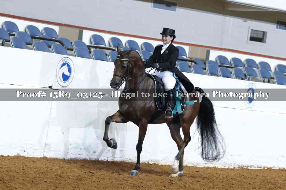 Proof Number 15R9_03125