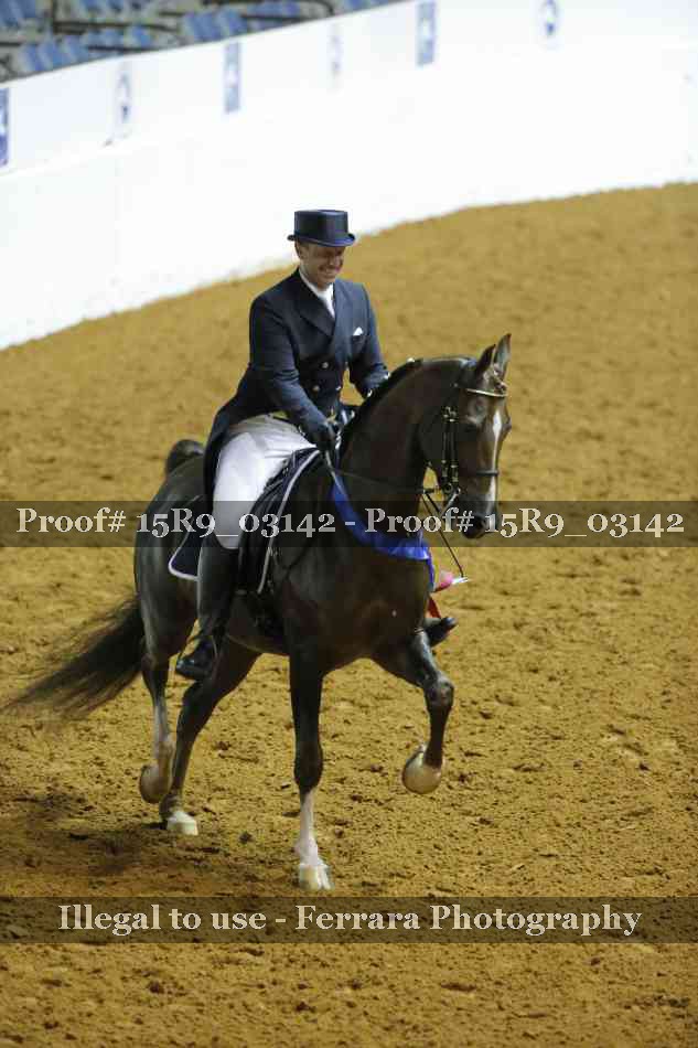 Proof Number 15R9_03142