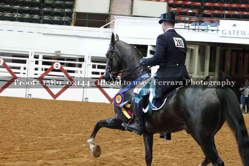 Proof Number 15R9_03144