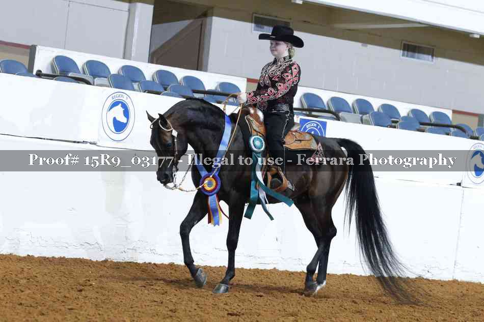 Proof Number 15R9_03177