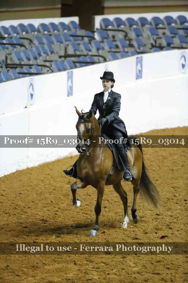Proof Number 15R9_03014