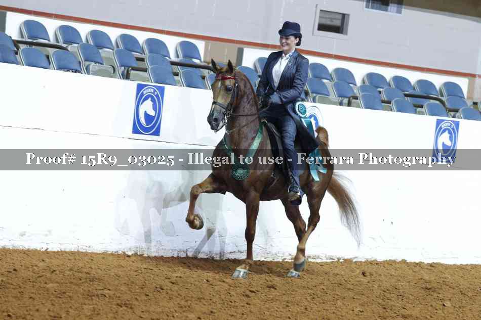 Proof Number 15R9_03025