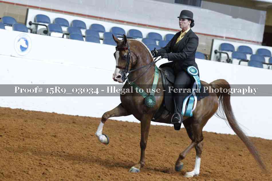 Proof Number 15R9_03034