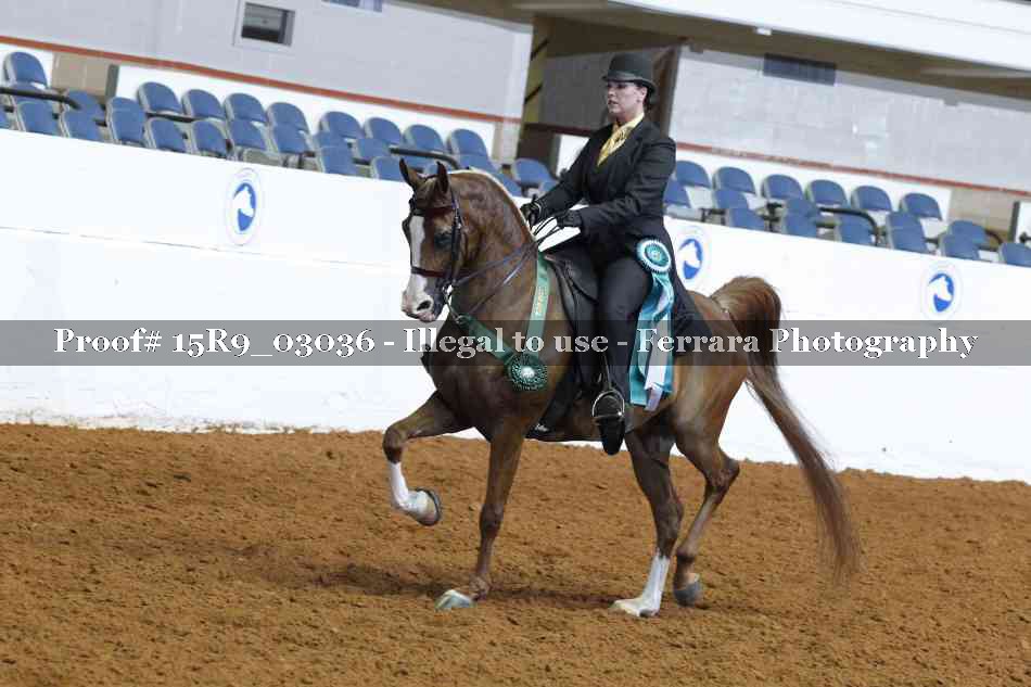 Proof Number 15R9_03036