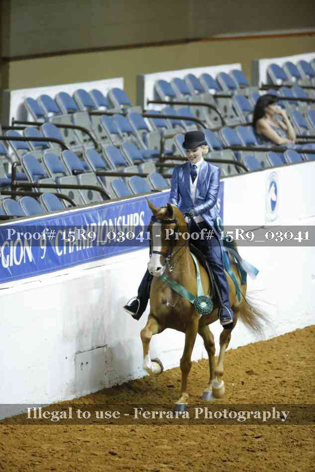 Proof Number 15R9_03041