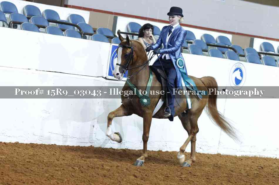 Proof Number 15R9_03043