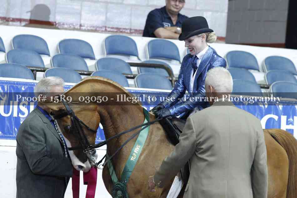 Proof Number 15R9_03050