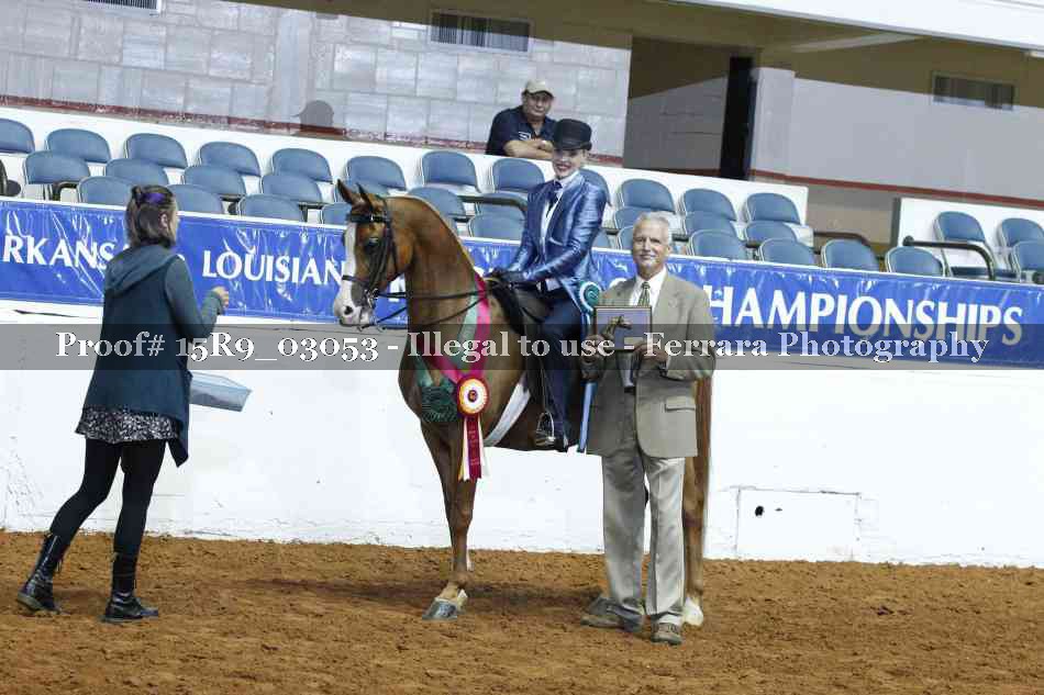 Proof Number 15R9_03053