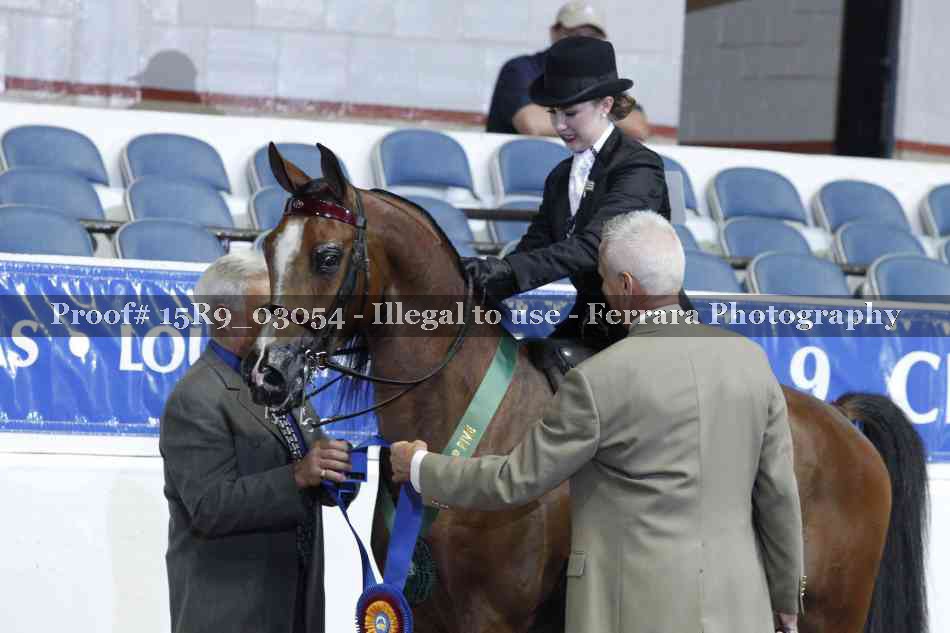 Proof Number 15R9_03054