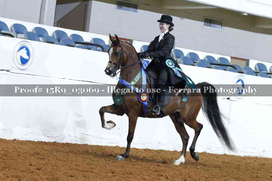 Proof Number 15R9_03069