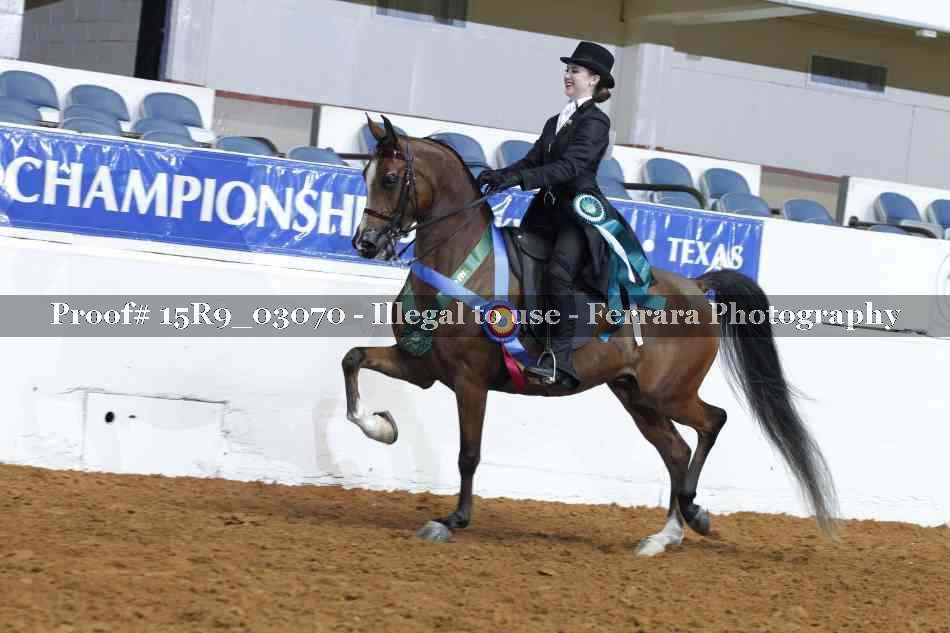 Proof Number 15R9_03070