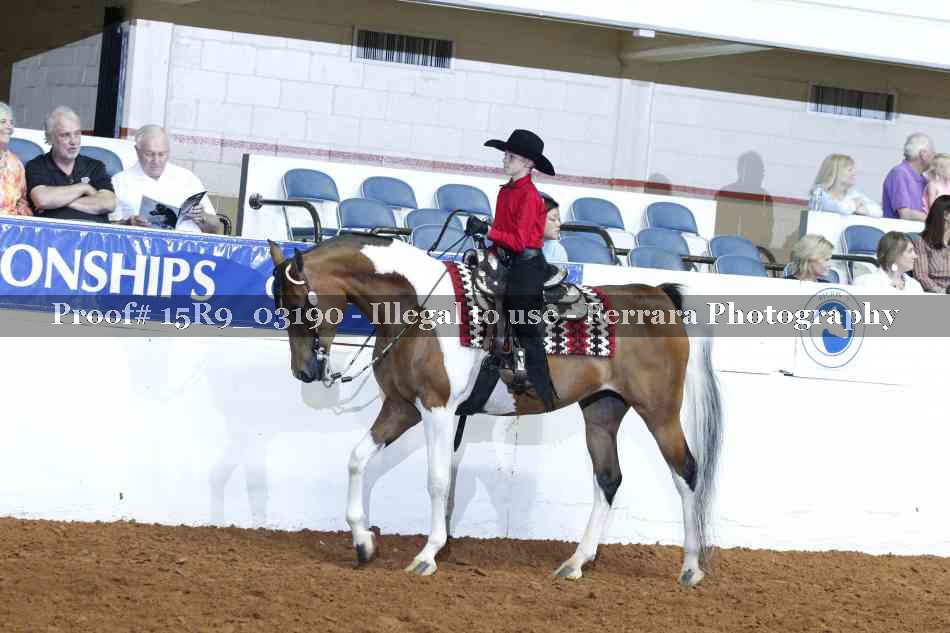 Proof Number 15R9_03190