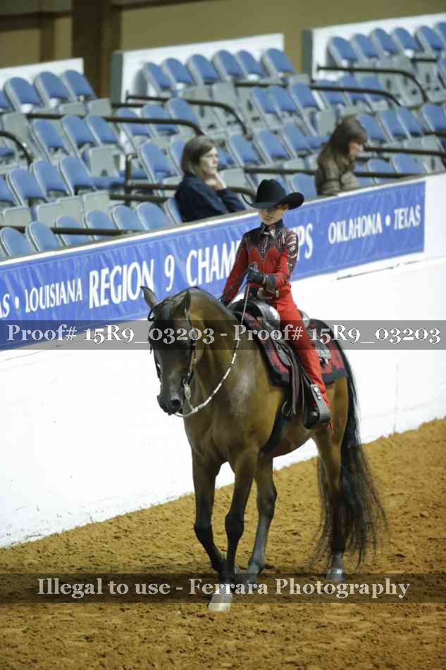 Proof Number 15R9_03203