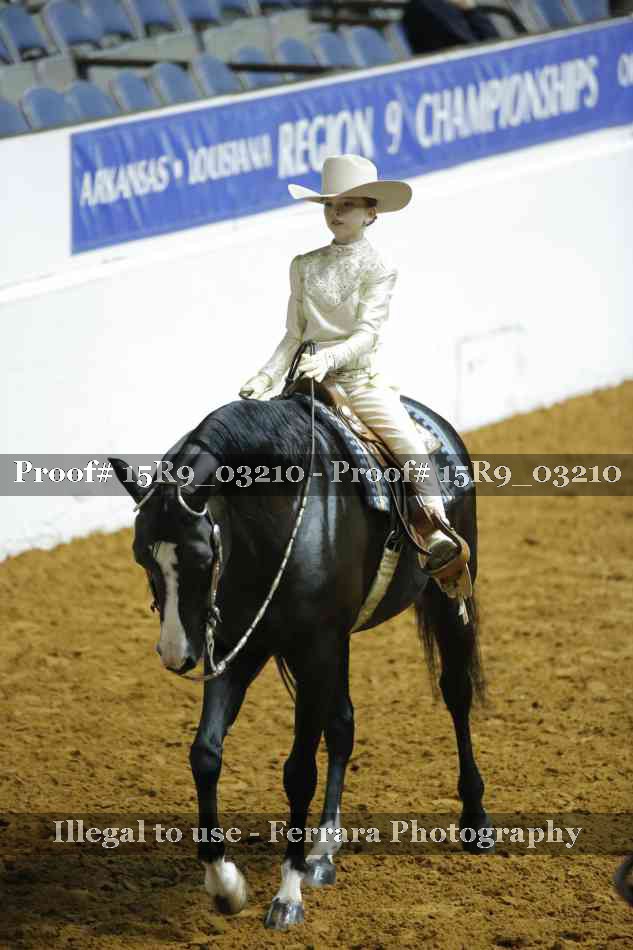 Proof Number 15R9_03210