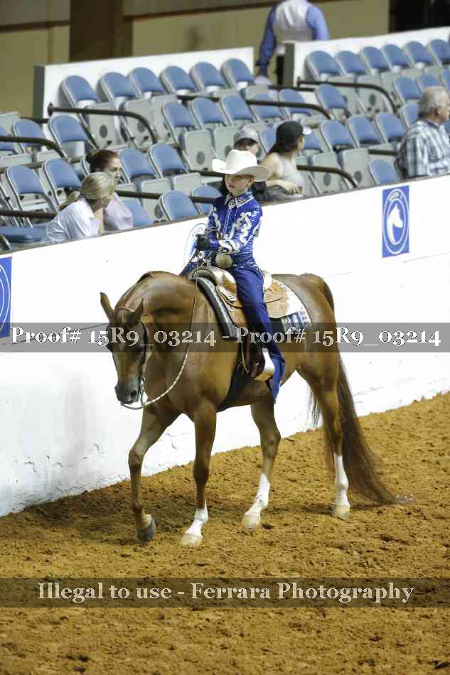 Proof Number 15R9_03214