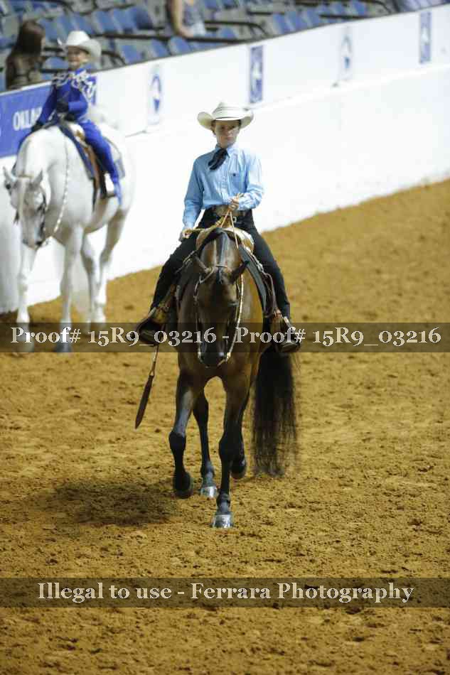Proof Number 15R9_03216