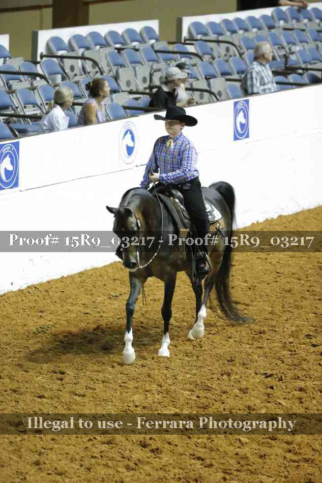 Proof Number 15R9_03217