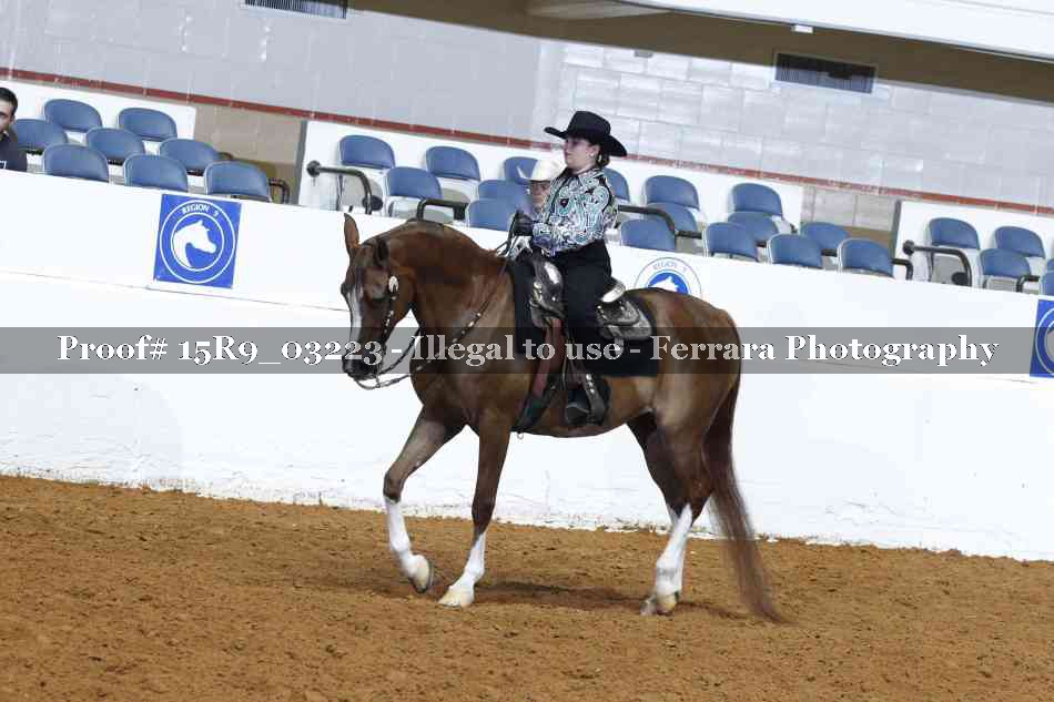 Proof Number 15R9_03223