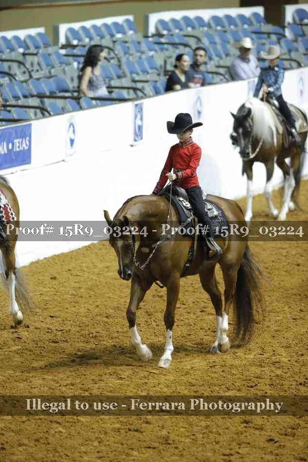 Proof Number 15R9_03224