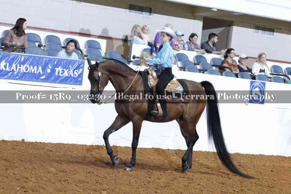 Proof Number 15R9_03230