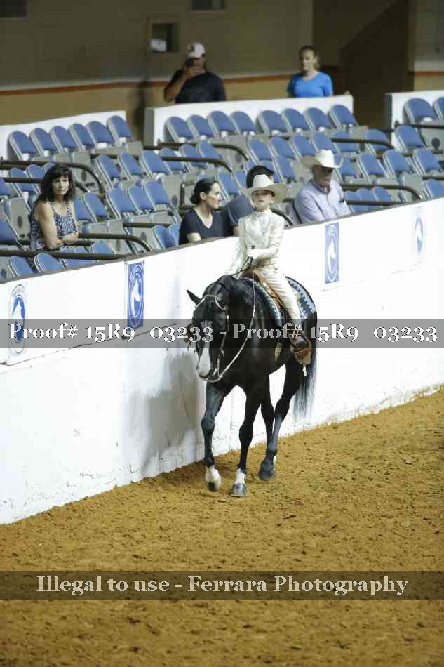 Proof Number 15R9_03233