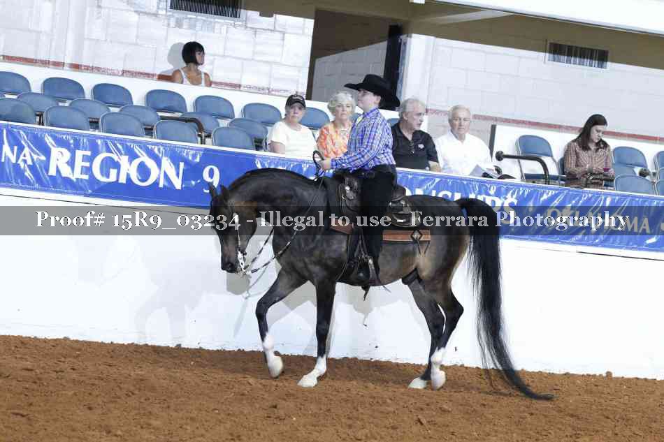 Proof Number 15R9_03234