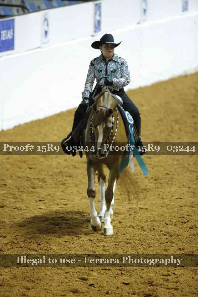 Proof Number 15R9_03244