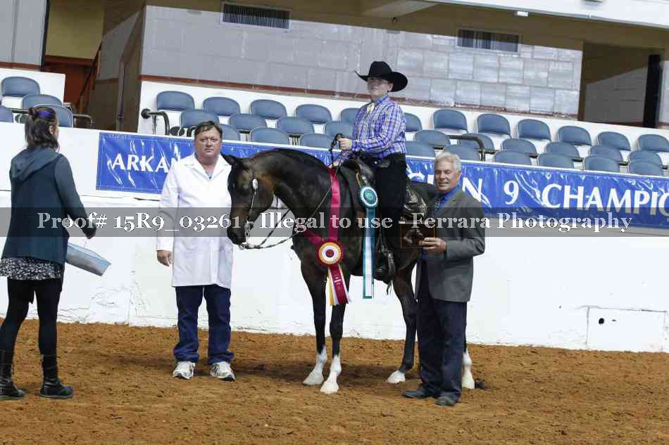 Proof Number 15R9_03261